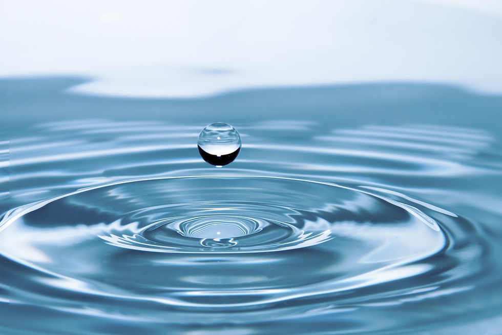a water droplet goes back into a rippling body of water