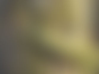 A hand wraps around a moss covered tree, which is the ultimate way to ground yourself - tree hugging is a beautiful grounding ritual for instant calm.