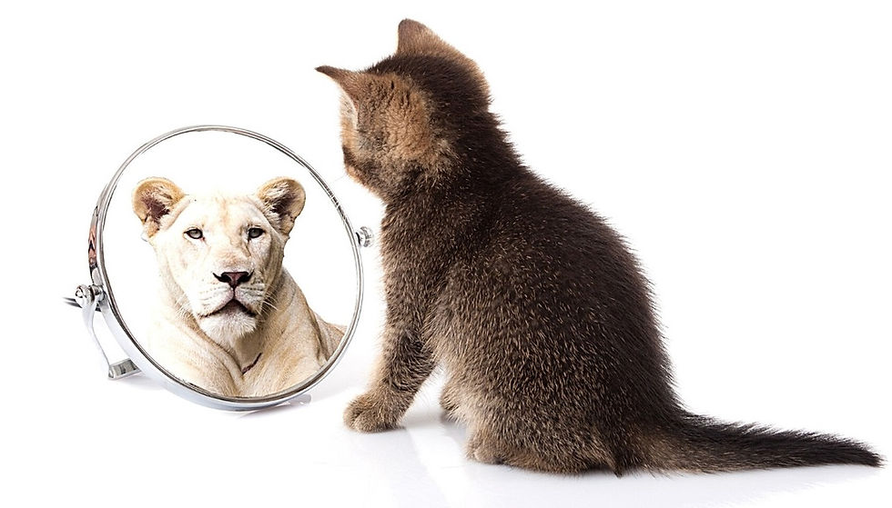 How Psychometrics can help - Type Mapping