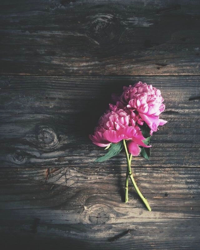 MEDITACIÓN: SALMO 103. 1-10