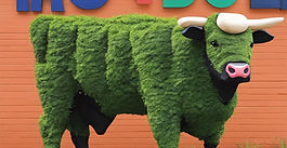 Q&A Sessions: Ask A Doula