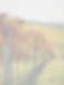 website imports rev 6-26 v3.png