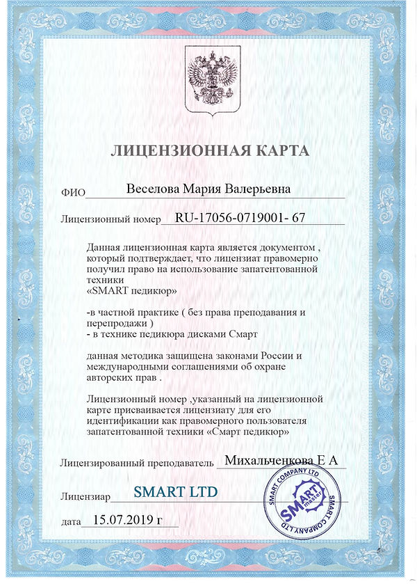 лицензионная карта пример.jpg