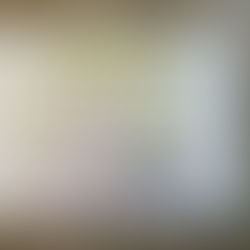 A Convenient Pit Stop at Governor's RV Park and Tasty Eats at Doolittle's Woodfire Grill