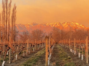 Vinícolas com hospedagem em Mendoza