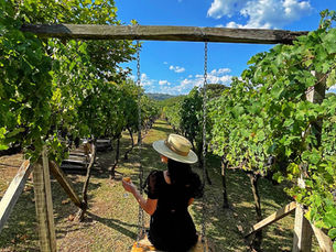Vinícolas para conhecer no Vale dos Vinhedos