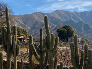 Quais vínicolas conhecer no Norte Argentino: Cafayate.