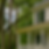 South Carolina Leafy Gutters - AquaPure Cleaning Solutions - Window & Gutter Cleaning - Beaufort, Bluffton, Hilton Head