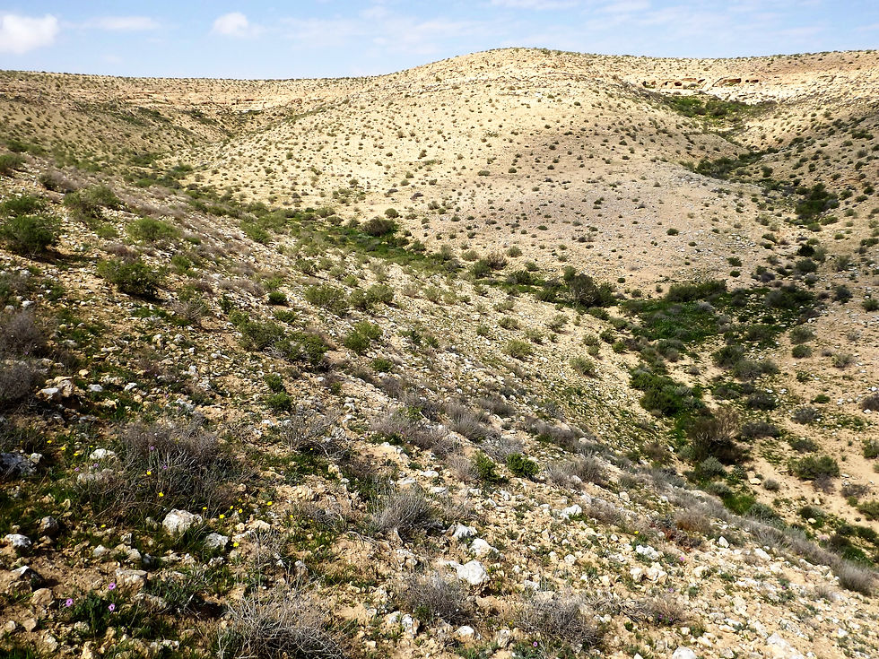 Wadi no deserto de Negev.