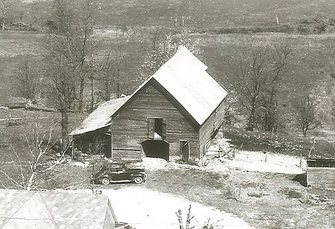 Bowen 2 cropped 2.jpg