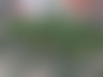 春の陽気に誘われて・・・