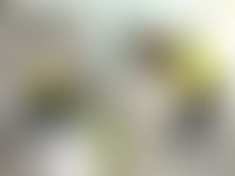 伏見いきセン事業紹介 伏見グリーンシティ構想