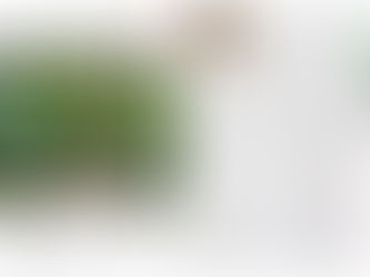 おむすび7月号が完成