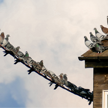 We need input from non-members