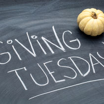Village kicks off its end of year fundraising!
