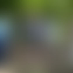 From Frank ... enjoying the gems in our neighborhood.