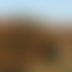 Join Us at the National Arboretum