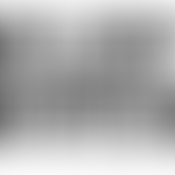 2022 Silent Auction Live on Friday Nov 11