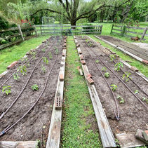 Seeking Village Gardeners!