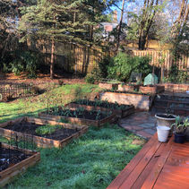 Join the Village Garden Club