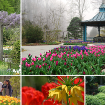 Village Outing to Brookside Gardens