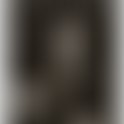 Now Reading: The Accidental President