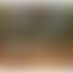 From Frank ... discovering our local Black history this month