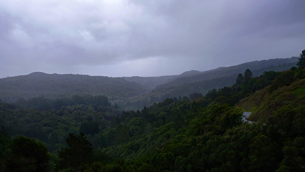 Muir-woods-conservation
