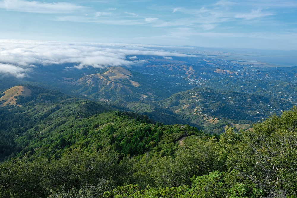 view-Mount-Tamalpais-california