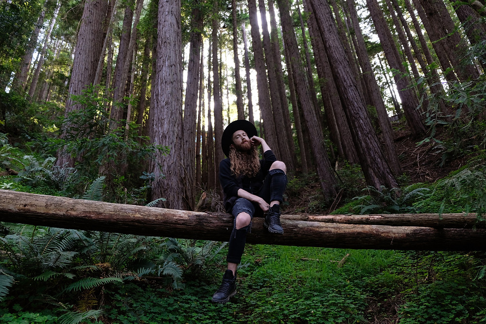 Mount-Tamalpais-california-red-wood-forest