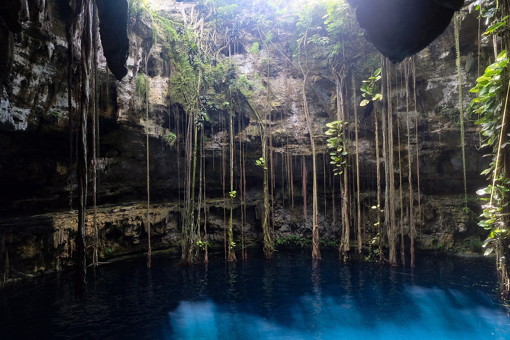 cenotes-Saamal-mexico