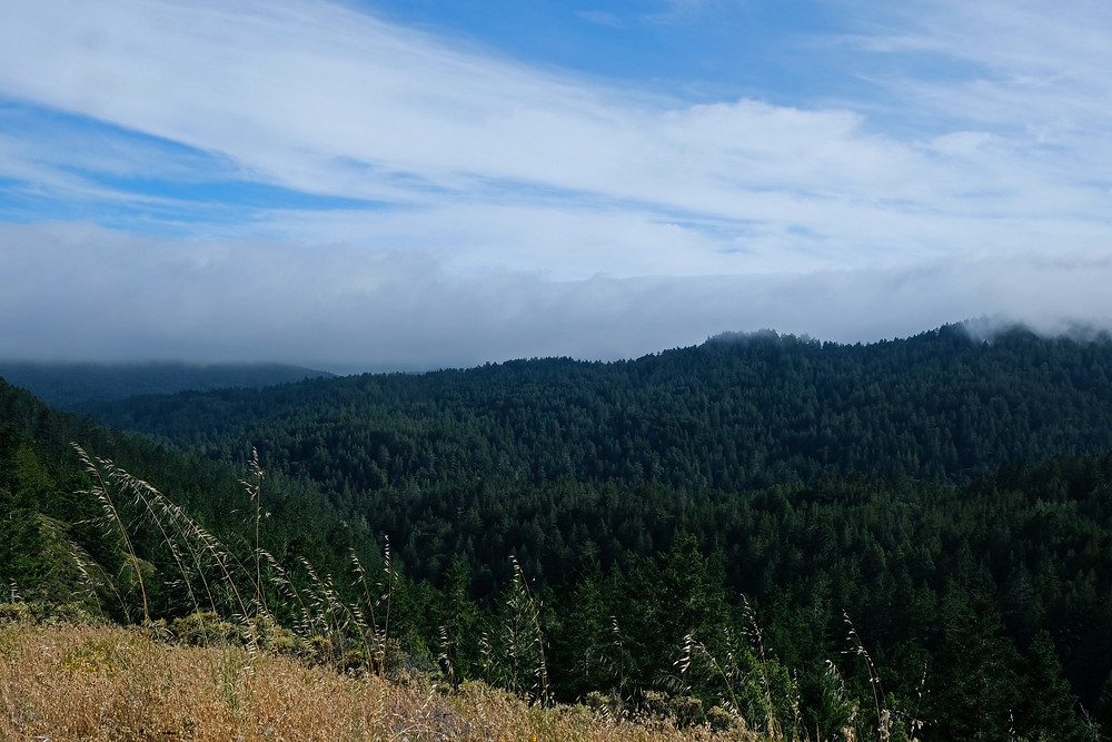 Mount-Tamalpais-california