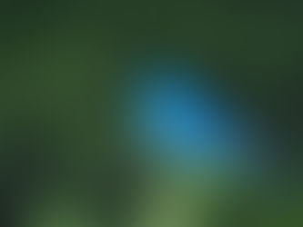 The Light Behind the Eyes