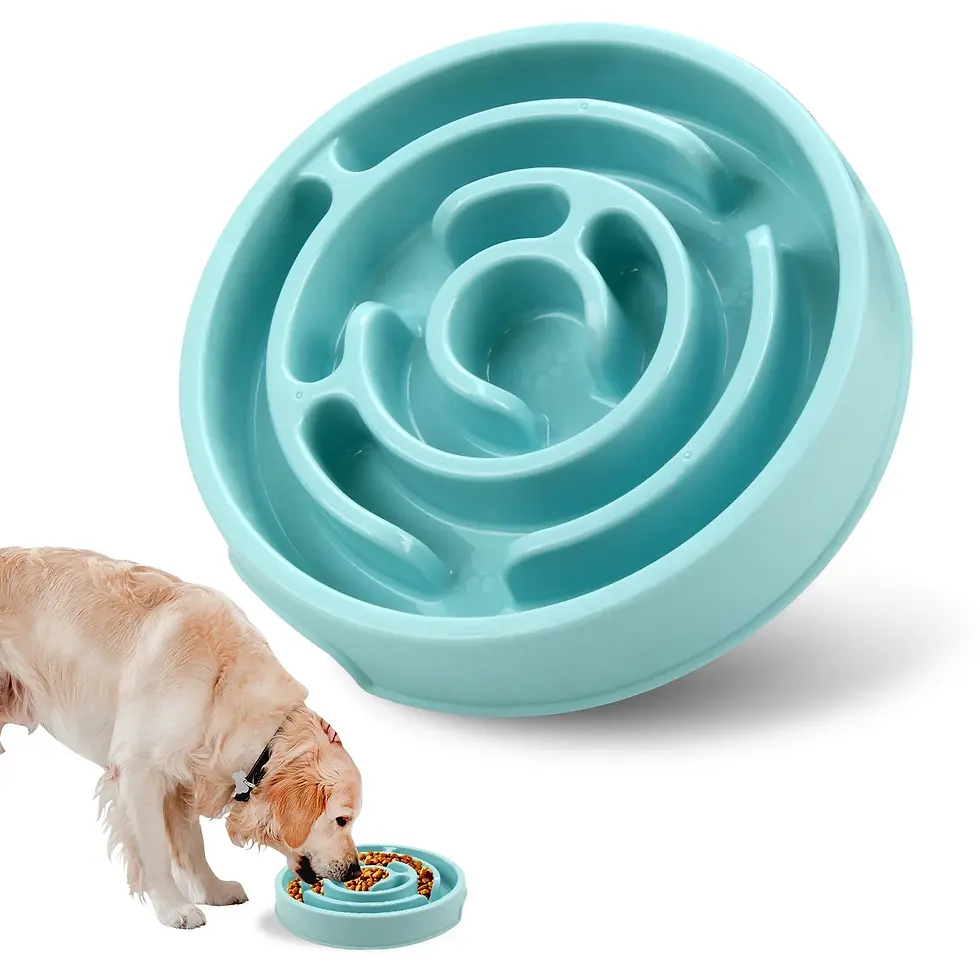 Thumbnail: Slow Feeder Dog Bowl