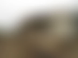 Memória de ferrovia é retratada em livro