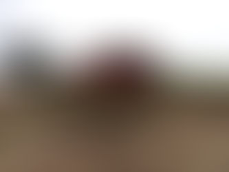 Complexo da Estrada de Ferro Madeira Mamoré (EFMM) recebe limpeza para remover sedimentos, em RO