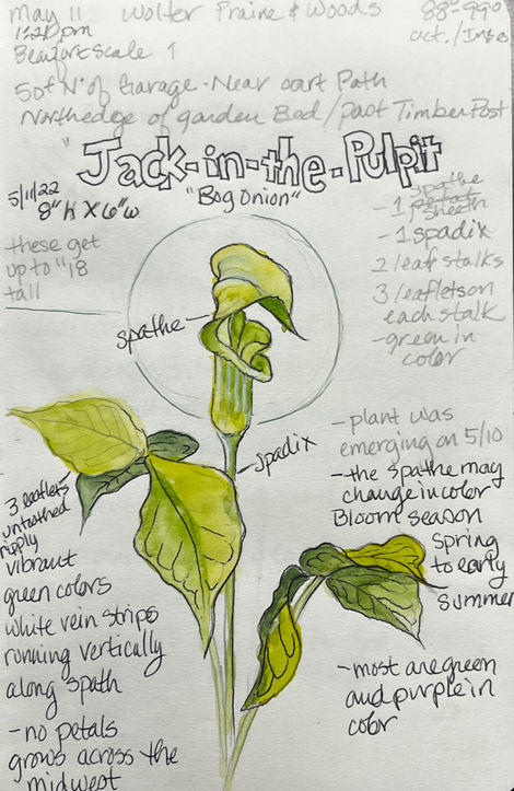 Field Journal