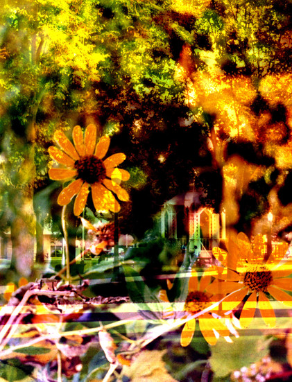 Untitled One