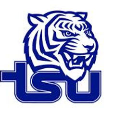 TSU.png
