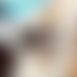 Complementary drink to boost your celebration Private Boat Tours with Miami Boat Rental