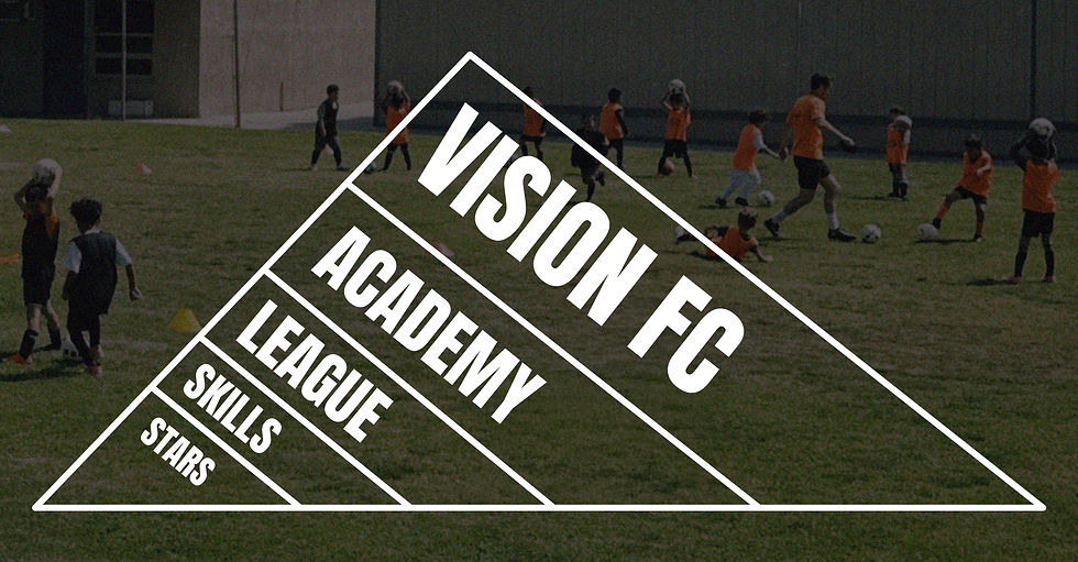 Developmental Pathway - Main Graphic (1).jpg