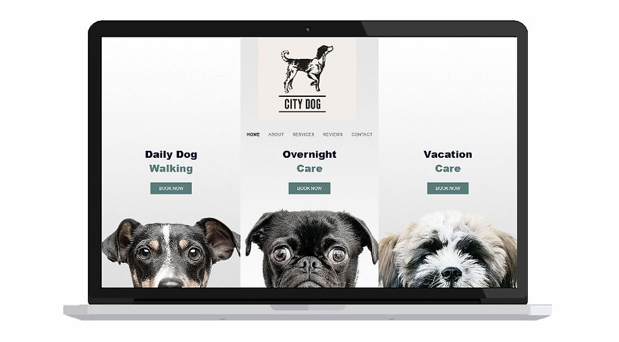 Connect Hebrides Web Design - Gestalt Symmetry & Order