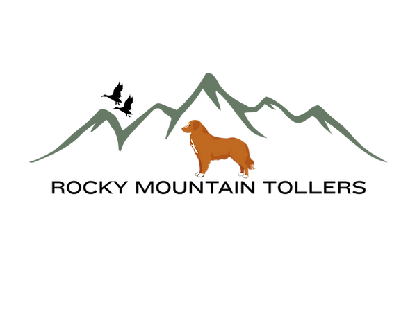 Toller sketch and mountains (8).png