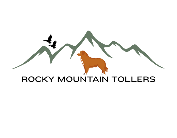 Toller sketch and mountains (8).png