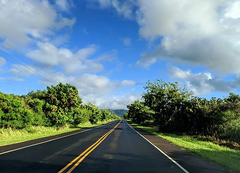 Autopista con bosque