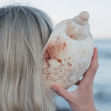 How Climate-Based Ingredients Adapt to Your Skin’s Needs