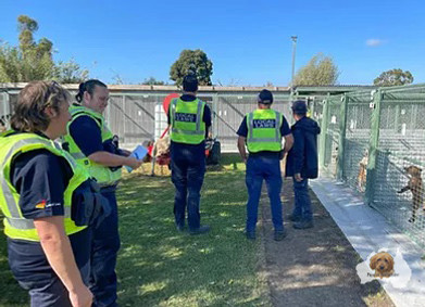 Our facility is regularly audited by our local council Latrobe City and Animal Welfare Victoria to ensure we are providing only the highest ethical standards to our animals.