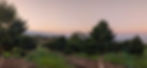 background-warm2.jpg