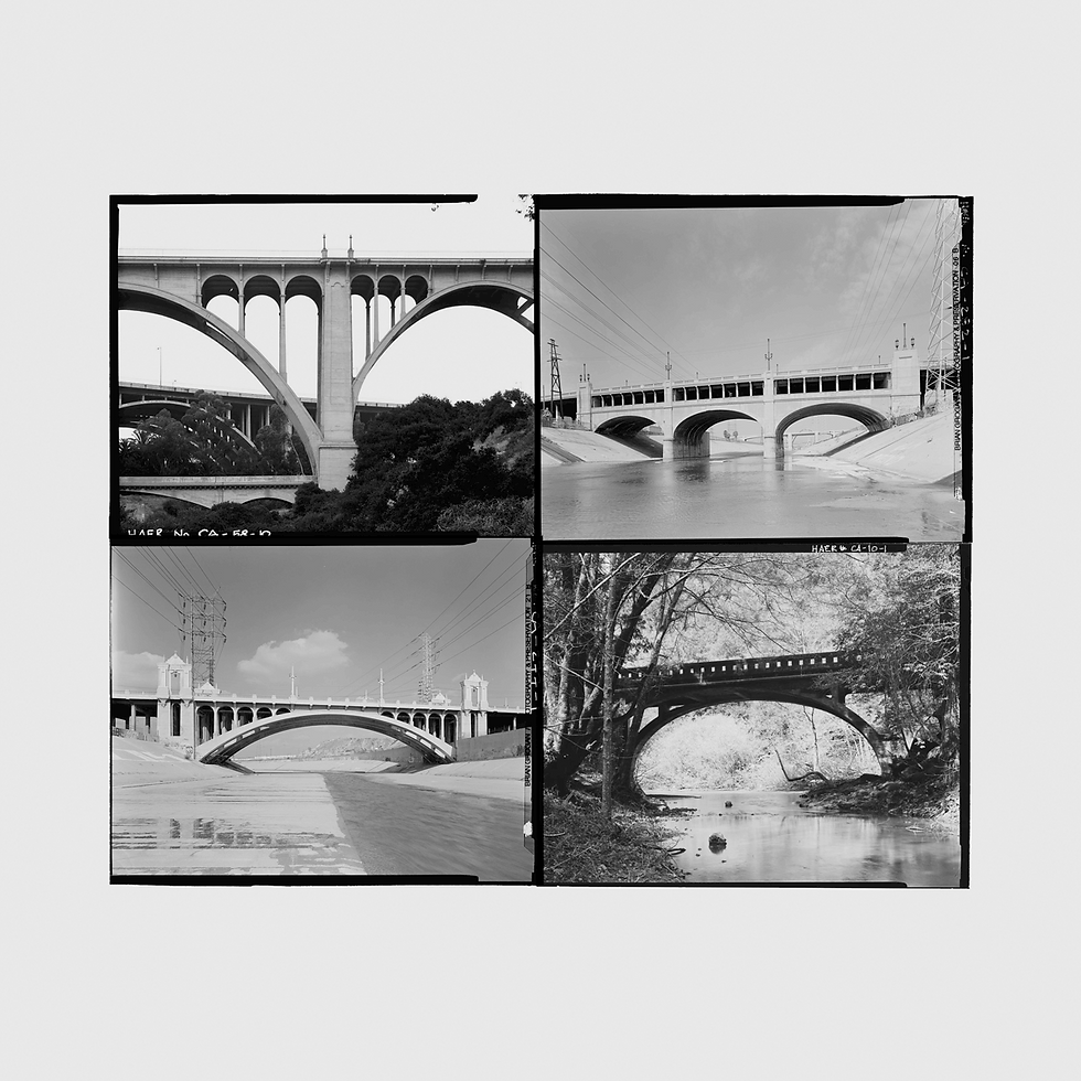 Building Bridges: Race Relations in the COVID-19 Era