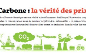 Carbone : la vérité des prix